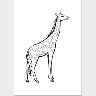 Stick figure giraffe Posters and Art